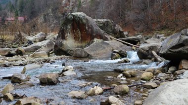 Sonbaharın başında ve yazın sonunda ormandaki bir dağ nehrinin manzarası. Doğal bir nehirde su. Nehirli güzel ve rahatlatıcı bir orman. Dağ ormanının derinliklerinde bir nehir. Doğa bileşimi