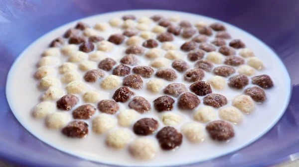 Gezond Ontbijt Met Melk Tafel Een Diep Bord Volkoren Chocolade — Stockfoto