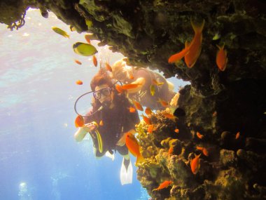 Scuba dalgıcı kız Mısır 'daki Kızıl Deniz' in mercan kayalıklarını keşfediyor. Mavi sudaki bir grup mercan balığı. Güzel bir mercan resifinde dalış yapan genç bir kadın..