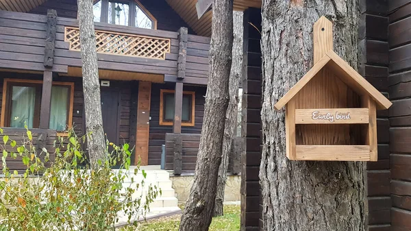 茶色の田舎の木造家屋の近くの森の中で木で作られた美しい鳥の家 自家製バードフィーダー 庭の木の上のアートバードハウス — ストック写真