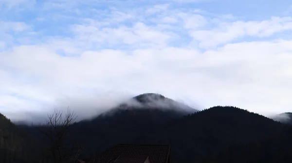 Herbstregen Und Nebel Auf Den Berghängen Nebliger Herbstwald Mit Niedrigen — Stockfoto