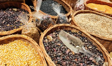 Marketlerde fasulye, mercimek, bezelye, nohut. Vejetaryen Sincaplar. Organik sağlıklı taze gıda pazarı. Arka planda yeşil çimenler bulanıklaştı. Bitki diyeti.