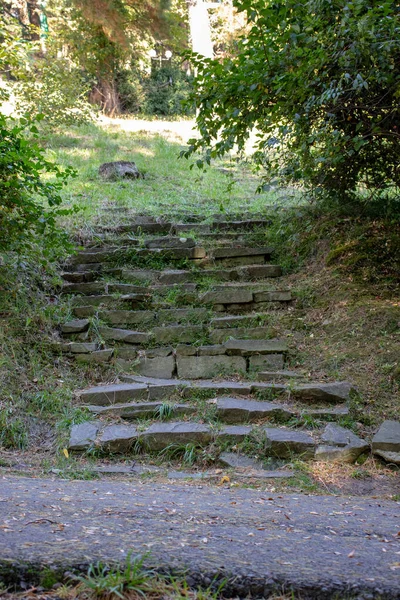Ormandaki eski taş merdiven