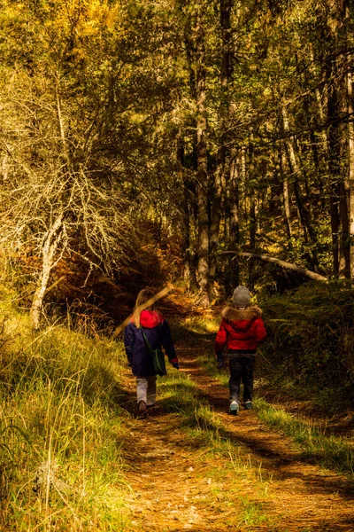 Дети Прогуливаются Лесу — стоковое фото