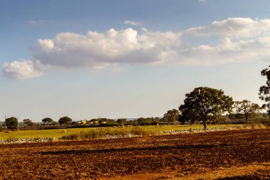 Kırsal alan ve mavi gökyüzü