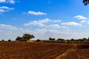 mavi gökyüzü ile tarımsal alan
