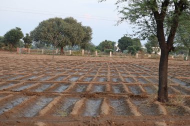 Traktördeki çiftçi, ekili ekiciyle tarımsal çalışmaların ilkbahar başlarında ekilen tohumlama faaliyetlerinin bir parçası olarak toprak hazırlıyor. - Görüntü
