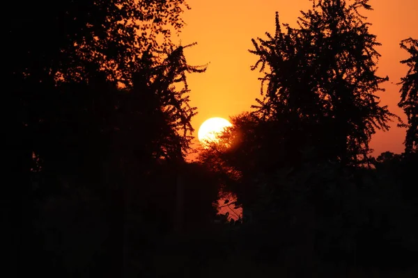 Gün batımında akşam gökyüzünü bulutlandır. Manzara, güneşli bir tarlada şafak. Dramatik bir gün batımı ve gün doğumu gökyüzü..