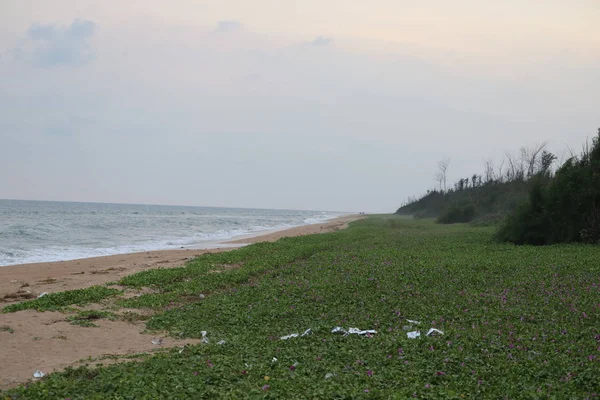 Bela praia com palmeiras e céu temperamental. Verão férias férias férias fundo conceito. Praia do paraíso das Maldivas. Viagem de luxo férias de verão fundo conceito — Fotografia de Stock