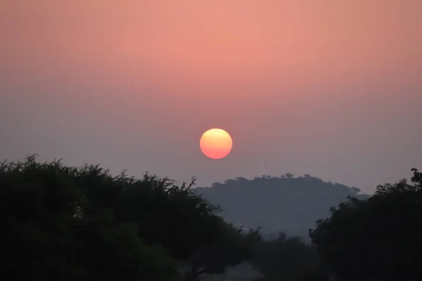 Um nascer do sol dourado com névoa e uma silhueta de árvore escura. Impressionante amarelo prado outono nascer do sol com fundo de luz bokeh — Fotografia de Stock