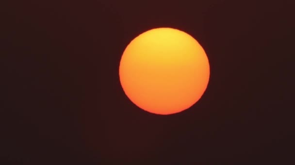Große Sonne Mit Wolken Sonnenaufgang Sommer Strahlende Sonne Bei Klarem — Stockvideo
