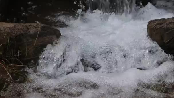 Close Água Limpa Que Flui Pequeno Rio Montanha Câmera Lenta — Vídeo de Stock