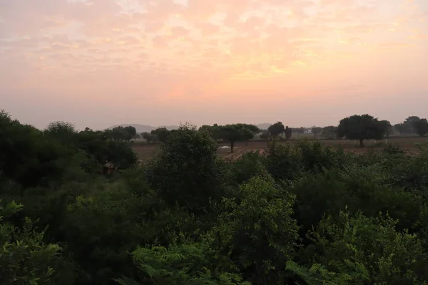 Campo, alba e cielo blu — Foto Stock