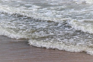 Sahil şeridinin yüksek açılı görüntüsü