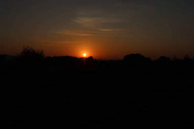 photography of silhouette in spring