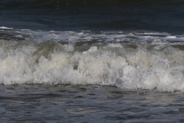 Marina sahilinde güzel bir su dalgası.