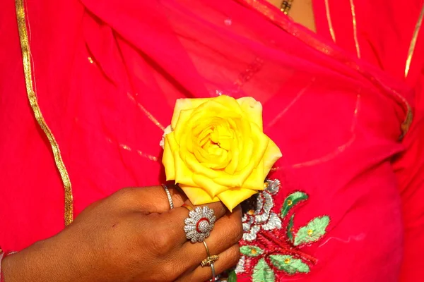 Sárga Rózsa Virág Nők Kezét Piros Szári Rózsa Nők Kezét — Stock Fotó