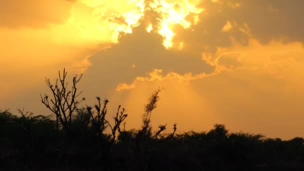 Zachód Słońca Upływa Kolorowym Niebem Ruchomymi Chmurami Tła — Wideo stockowe