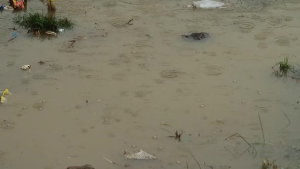 Agua Lluvia Que Fluye Con Gotas Burbujas — Vídeo de stock