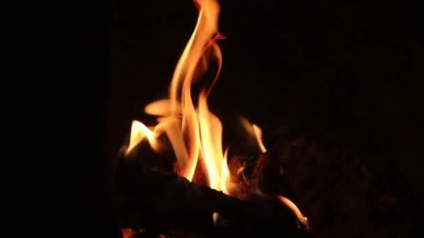 火の背景の燃え立つメンバー — ストック動画