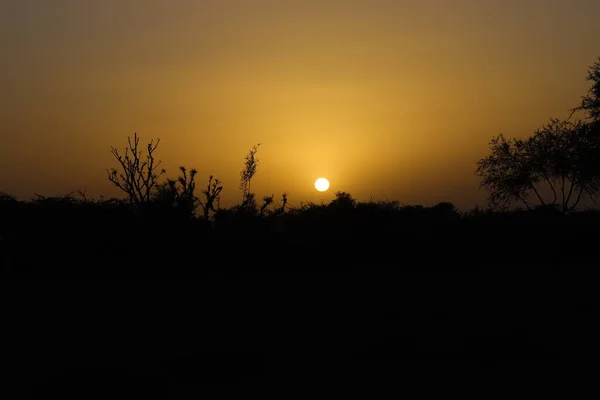 Schöne Silhouette Und Sonnenuntergang Hintergrund — Stockfoto