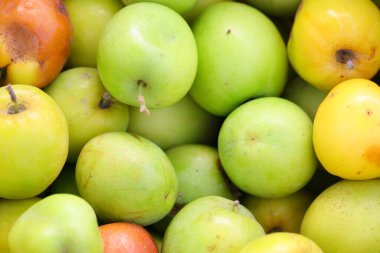 f jujube meyve arkaplan temasının mikro görüntüsü