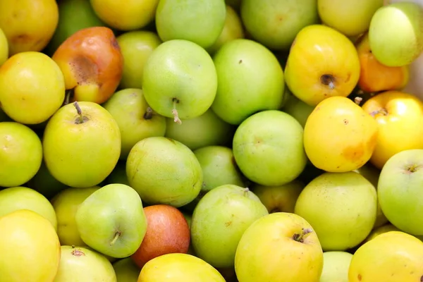 close up of jujube fruits background theme