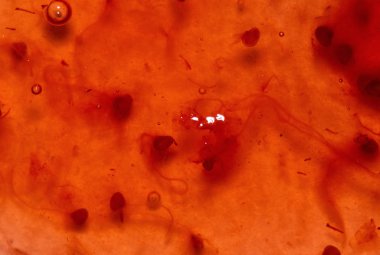 Arka plan olarak çilek reçeli, çilek reçeli, yakın plan, makro