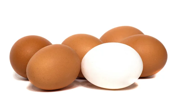 Fresh Chicken Eggs Isolated White Background Eggs Source Protein — Stock fotografie