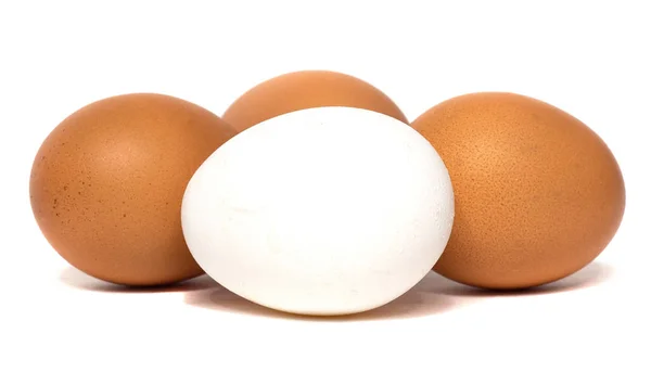 在白色背景上分离的新鲜鸡蛋 蛋作为蛋白质的来源 — 图库照片