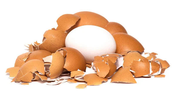 Verse Kippeneieren Geïsoleerd Een Witte Achtergrond Eieren Als Eiwitbron — Stockfoto