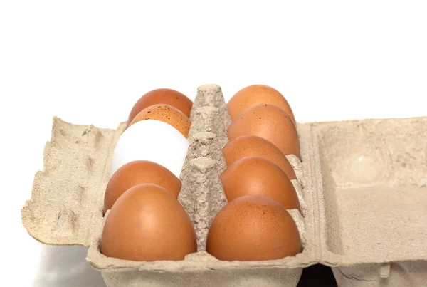 Friss Csirketojás Fehér Alapon Izolált Csomagolásban — Stock Fotó