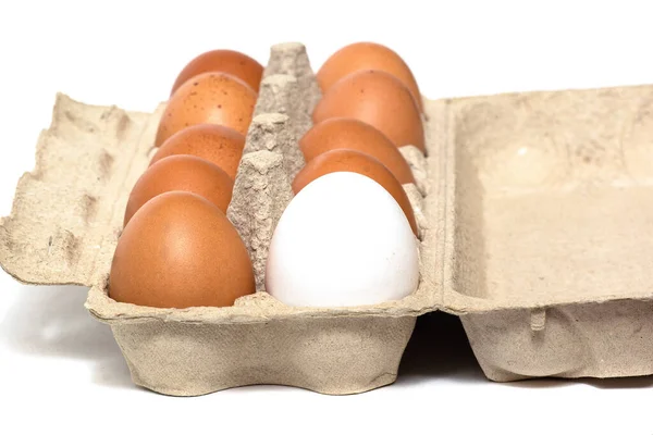 在白色背景上隔离的包装中的新鲜鸡蛋 — 图库照片