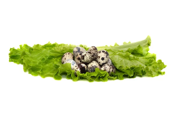 Pequeños Huevos Codorniz Sobre Una Hoja Fresca Lechuga Verde Aislados — Foto de Stock