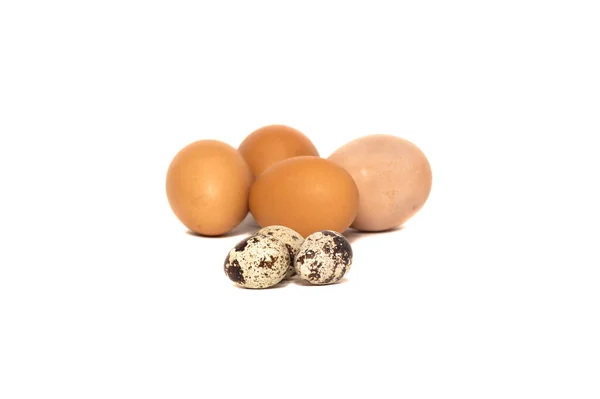 Свежая Курица Перепелиные Яйца Изолированы Белом Фоне Яйца Источник Белка — стоковое фото