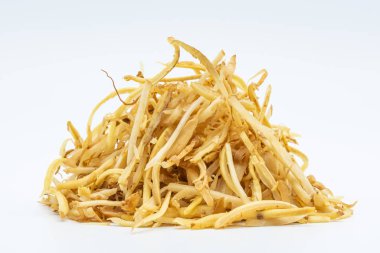 Parmak kökü; Çinli zencefil