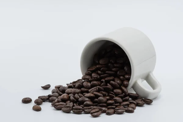 Kahve fincanında kahve tohumu