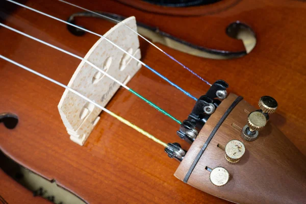 Gros plan du violon en bois — Photo