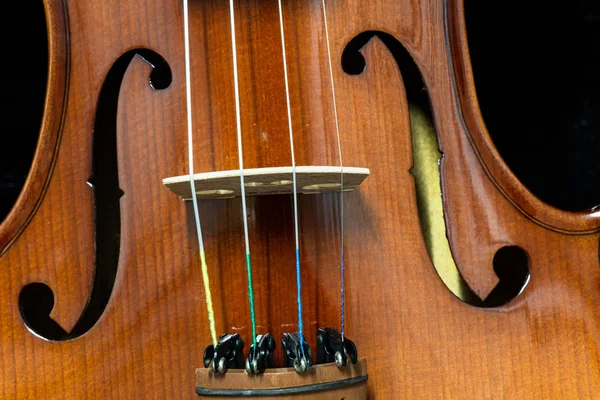 Gros plan du violon en bois — Photo
