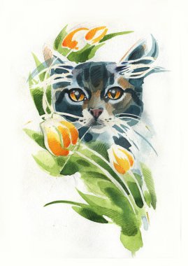 kedi kalem, fırça ve suluboya çizilir