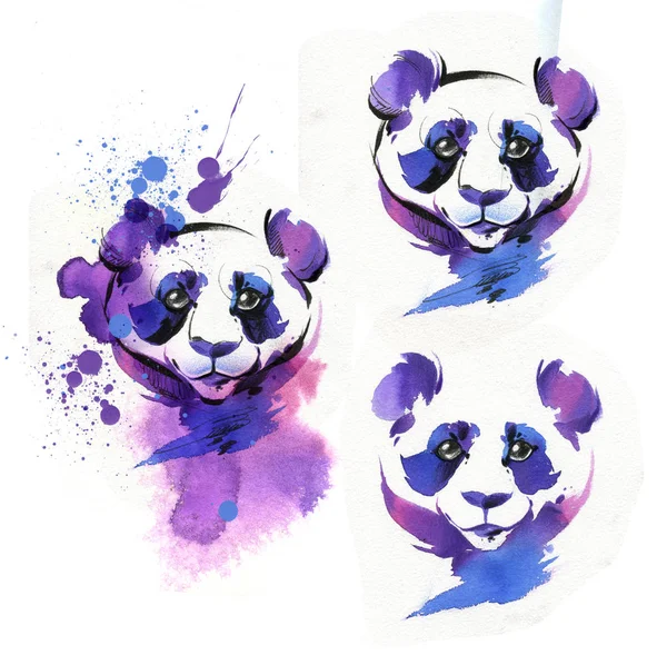 The Panda is drawn with a brush and watercolor