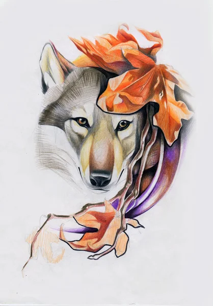 Lobo desenhado com um lápis sobre papel — Fotografia de Stock