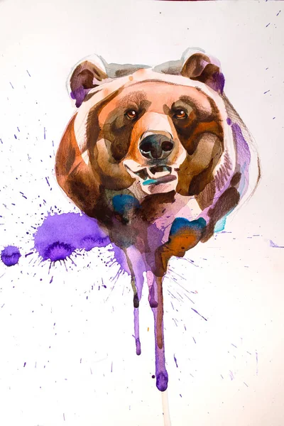 鉛筆、ブラシ、水彩で描かれたクマの頭 — ストック写真