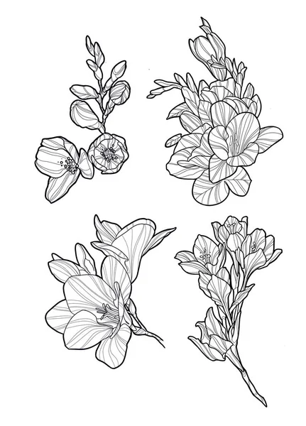 Kresba květiny s čarami — Stock fotografie