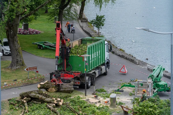 Grúa roja quitar un árbol en el lago en Villneuve en Suiza . — Foto de Stock