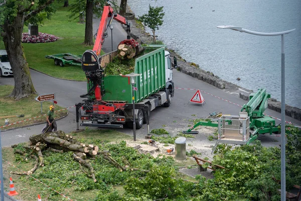 Eliminación municipal de árboles en la aldea francesa Villeneuve en Suiza . — Foto de Stock