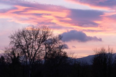 Dramatic sunset with pink clouds over bar trees and hills in wintertime in Switzerland. Unprocessed and original.
