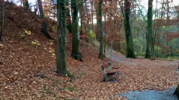风正沿着小路刮过褐色的叶子 秋天在瑞士阿尔高州阿雷河边的森林里 一条空的木制长椅 — 图库视频影像
