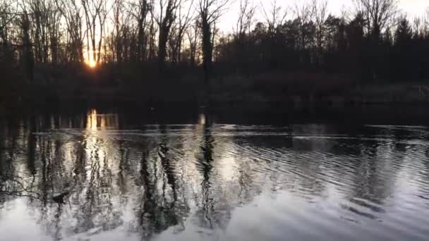Lugn Scen Långsam Flytande Flod Framför Kala Träd Små Fåglar — Stockvideo