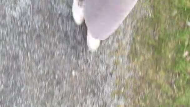 グレーのズボンを着た遅い歩行女性とスイスのAare近くの緑のボーダーと砂利道で結合された冬の靴 高角度表示 — ストック動画